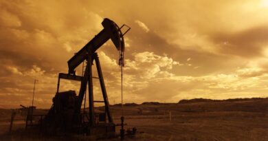 Zim a step closer to oil/gas breakthrough: Invictus