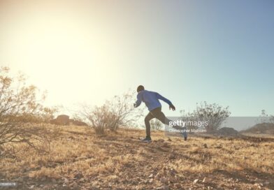 Transporter allegedly flees after confession in Chiredzi ECD learner death Transporter allegedly flees after confession in Chiredzi ECD learner death