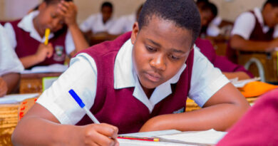 Cheating the System: Teacher Fined for Writing ZIMSEC Exam for Students