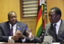 ‘He is dreaming’ — Former Zimbabwean minister Kasukuwere on President Mnangagwa’s 2030 bid
