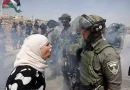 Socio-economic impact of Palestine-Israel war on occupied Palestinian territories 