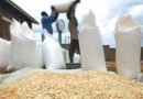 US$68m Purse To Alleviate Hunger In Zimbabwe