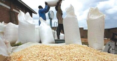 US$68m Purse To Alleviate Hunger In Zimbabwe