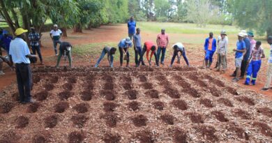 Sanyati district launches Intwasa/Pfumvudza climate-proof programme for 2023/24 farming season