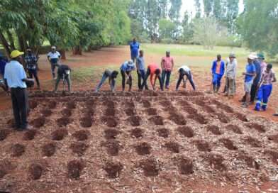 December Planting Window Likely Amid El Niño Threat
