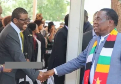 Tshabangu threatens MPs against opposing 2030 constitution amendment Tshabangu threatens MPs against opposing 2030 constitution amendment