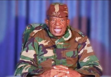 Geza Deserves National Hero Status, Says Temba Mliswa