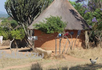 ZRP, Ministry Of Lands Launch Joint Operation Against “Sabhuku Deals” In Zvishavane