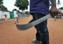 MP Accuses Ministers, Politicians of Protecting Machete Wielding Gangs in Mining communities