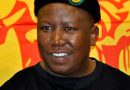 “If America Bans Me, I Will Rather Go To Zimbabwe For Healthy Food Like Mangai”, Says Julius Malema