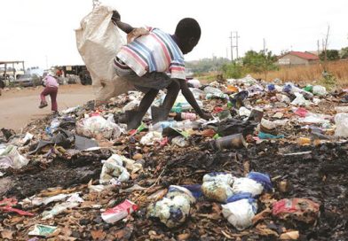 Bulawayo must assess Geo Pomona costs before deal — Mayor Coltart