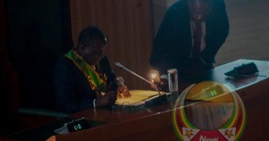 Parallel structures or parallel stupidity? — Temba Mliswa’s misfired crusade