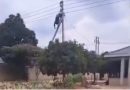 ZETDC blames rogue contractor after fatal Budiriro electrocution