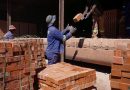 Brick by Brick, Zimbabwe companies fall to foreign competitors Brick by Brick, Zimbabwe companies fall to foreign competitors