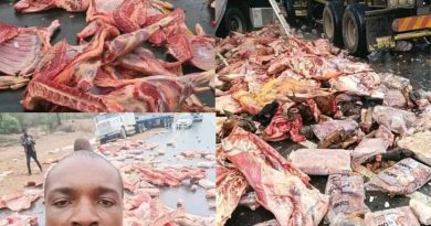 Surrey Abattoir Driver Dies in Masvingo–Beitbridge Road Crash: ZRP Confirms