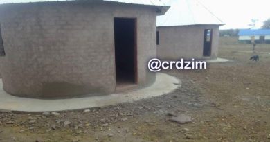 CRD piles pressure on Mnangagwa over forced relocations in Manhize