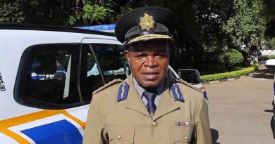 Soldiers deployed to Guruve after two more murders