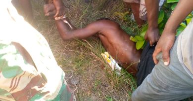 ZRP’s Swift Action Restores Hope in Guruve Community 