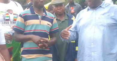 Tobacco Farming Takes Center Stage in Macheke