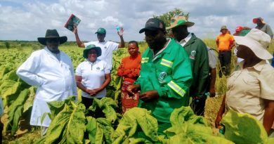Allied Tobacco Farmers 4ED Hosts Successful Field Day in Hurungwe East- Mashonaland West.