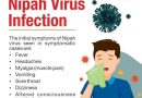 New deadly virus called ‘Nipah virus’ sends shockwaves & feared to be the next global pandemic like COVID-19 New deadly virus called ‘Nipah virus’ sends shockwaves & feared to be the next global pandemic like COVID-19