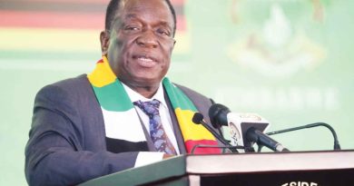 Government curbs luxury vehicle purchases, tightens foreign travel