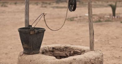 Girl (aged 9) drowns in village well