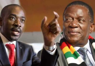 Why are you scared of elections: Chamisa asks Mnangagwa