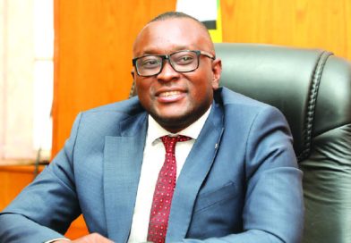 Mnangagwa announces cabinet reshuffle, Muswere booted from information ministry