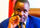 President Mnangagwa’s spokesperson George Charamba warns those planning protests over the recent constitutional amendments to extend presidential term limits