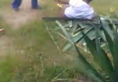 Fugitive Uzumba-Maramba-Pfungwe Woman Arrested For Assault