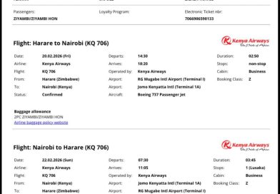 Ziyambi Ziyambi Skips United Nations Human Rights Council Session Amid Constitutional Amendment Push