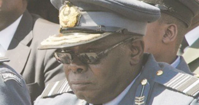 Zimbabwean Military Generals Urge Referendum on Proposed Constitutional Amendment