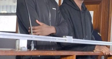 Chatunga Mugabe’s bail application postponed to Thursday