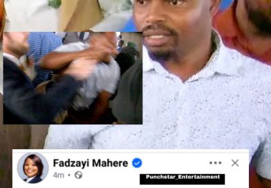 Chamisa Condemns The Violence At The CAB3 Public Hearings In Harare