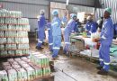 Unregulated fermented drinks flood zimbabwe Unregulated fermented drinks flood zimbabwe