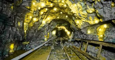 Two Foreign Nationals Arrested Over US$1.5m Mining Investment Fraud