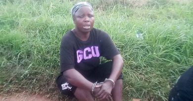 Thugs Caught In Hatcliffe: Police Crackdown On Crime Wave