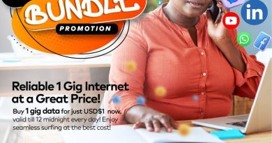 NetOne’s Power Move: $1 Data Deal Rocks Zimbabwe