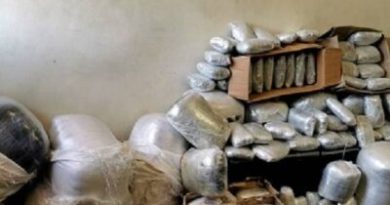 Drugs worth ZiG 93 600 seized on Mutare-bound bus in joint security operation