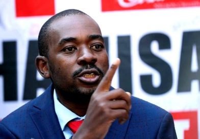 Chamisa lashes out at “drunk” Hwende after Zanu PF 2030 bribe accusation Chamisa lashes out at “drunk” Hwende after Zanu PF 2030 bribe accusation