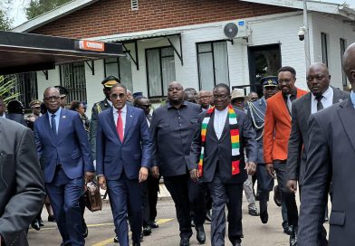 Why Wicknell Chivhayo’s ZITF stunt has left Zanu PF bigwigs fuming in silence