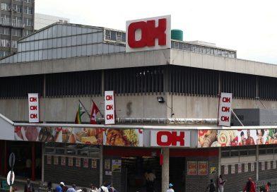 OK Zimbabwe burns US$1 million in asset sell-offs, blunders OK Zimbabwe burns US$1 million in asset sell-offs, blunders