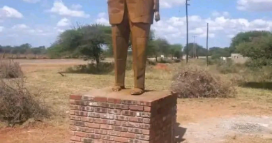 Joshua Nkomo statue removed after public backlash