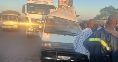 7 bystanders killed at accident scene after haulage truck ploughs into watching crowd