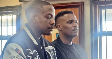 CHATUNGA MUGABE COMPENSATION FOR GARDENER PROBE