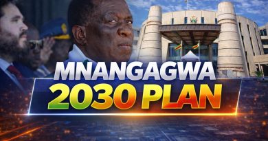 The 3 finger code — How Zanu PF orchestrated the hijacking of Zimbabwe’s constitutional future