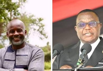 Calls on Chiwenga being fired intensify, Mliswa implicated