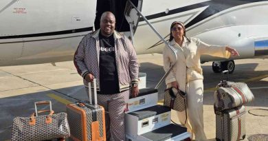 Chivayo Grounded: SA High Court Freezes Access To Assets Including Private Jet