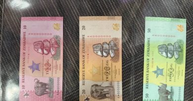 New ZiG banknotes enter circulation today as old notes set for phase-out New ZiG banknotes enter circulation today as old notes set for phase-out